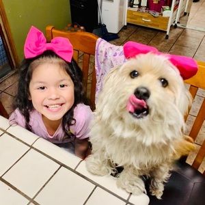 Meet your Posher, Ann